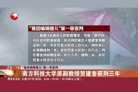 “基因编辑婴儿”案一审宣判！南方科技大学原副教授贺建奎获刑视频封面