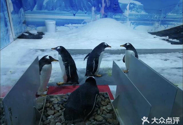 50个京城热门打卡地年终大集结，你想pick哪一个？