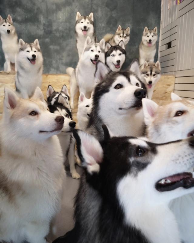 50个京城热门打卡地年终大集结，你想pick哪一个？