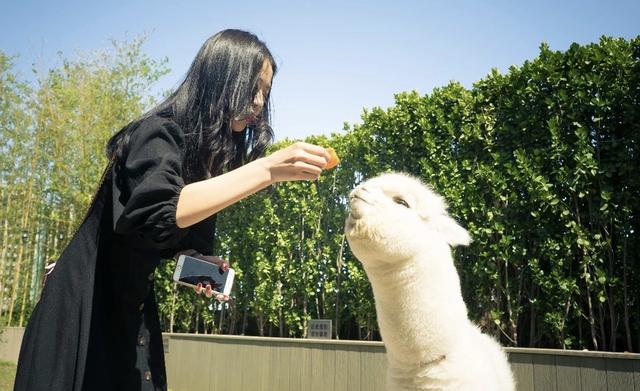 50个京城热门打卡地年终大集结，你想pick哪一个？