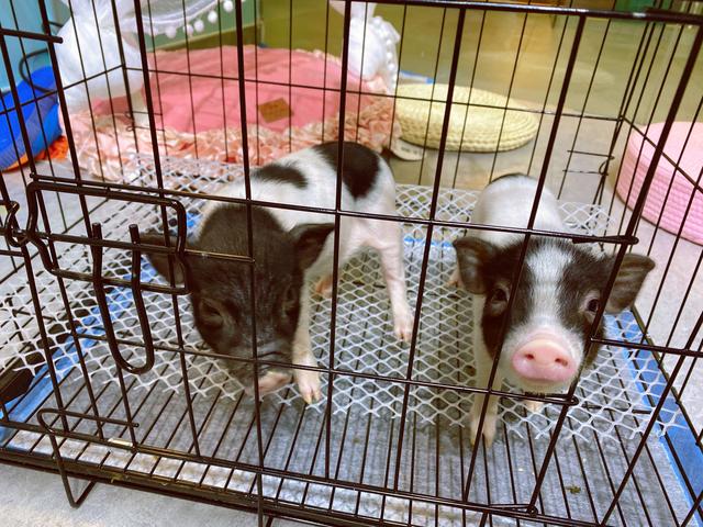 50个京城热门打卡地年终大集结，你想pick哪一个？