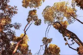 5大历史定律，更是人生定律图片