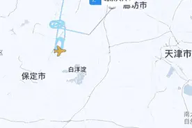 马航一航班大兴机场起飞后返航，有“乘客”称是舱门故障所致图片