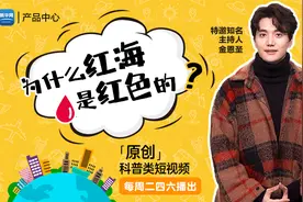 《十万个为什么》第四期—为什么红海是红色的？视频封面