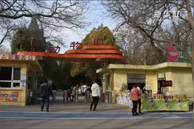 脑洞大开！动物保暖过冬妙招多！视频封面