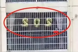窗口惊现SOS求救气球？邻居赶紧报警，结局猝不及防…图片