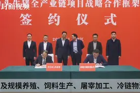 加快农业生产转型升级 内江将建150万头生猪全产业链视频封面