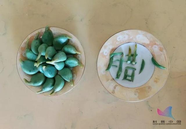 不可思议！腊八蒜不仅能软化血管还能抗癌？别怪我告诉你晚了