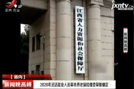 2020年灵活就业人员基本养老保险缴费基数确定视频封面