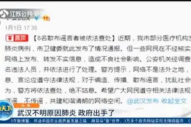 武汉出现多例不明原因肺炎,政府出手了！8名散布谣言者被依法查处