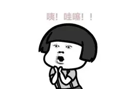 零突破！山东首次出口宠物犬，品种很霸气……图片