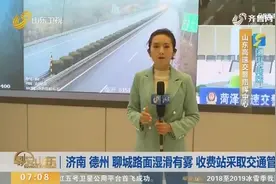 出行注意！济南、德州、聊城路面湿滑有雾，收费站采取交通管制视频封面