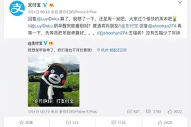 支付宝年度账单终于来了！网友：我都不知道自己这么有钱图片