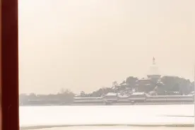 2020年的第一场雪，下得很深很认真图片
