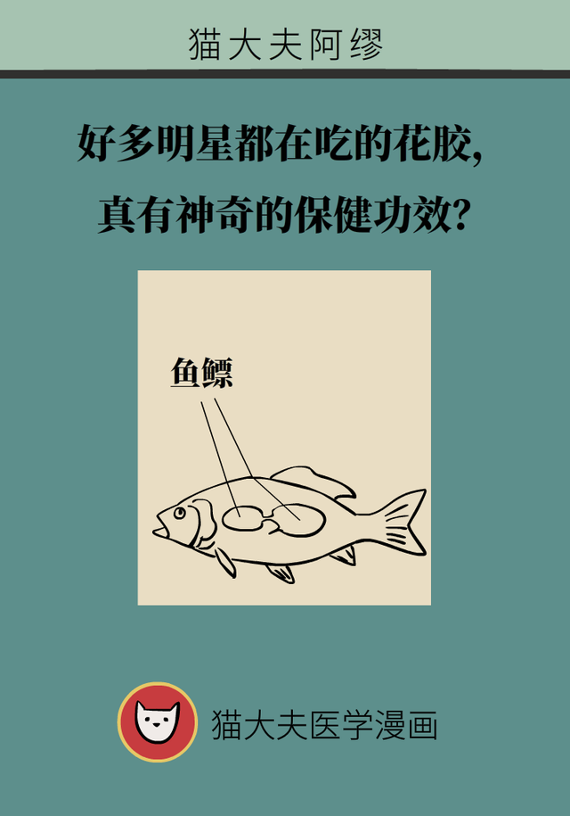 花胶的好处 2026年花胶的好处与禁忌