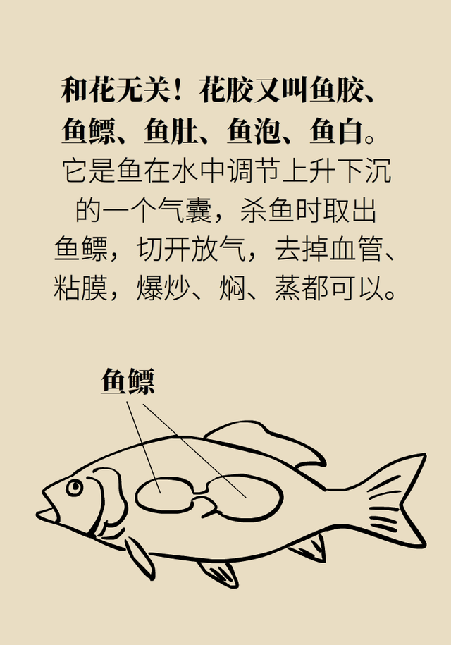 吃花胶功效 吃花胶有什么营养