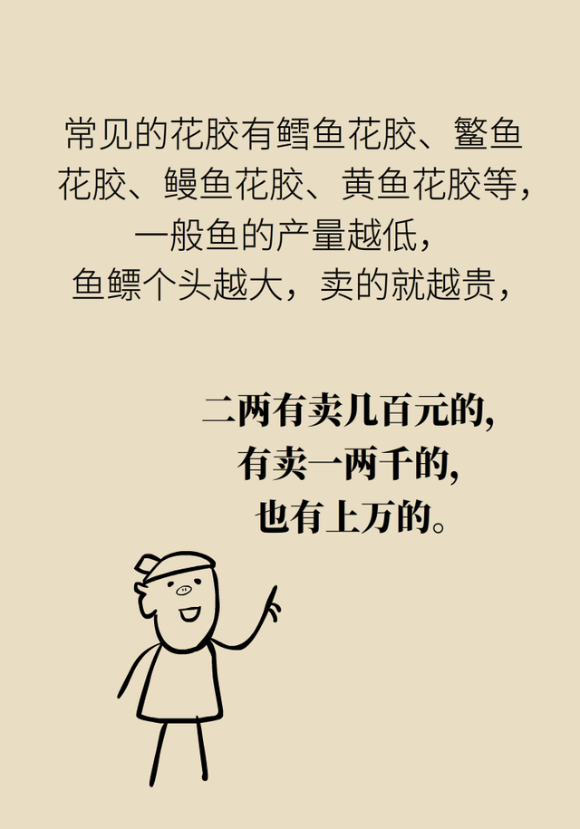 吃花胶功效 吃花胶有什么营养
