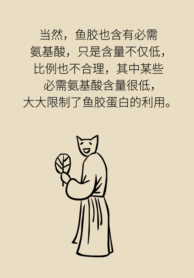 吃花胶功效 吃花胶有什么营养