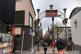自由行还是跟团游，弄清区别再决定图片