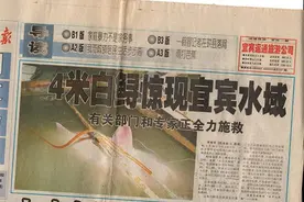 央视记者回忆与白鲟“最后一面”：没有我们期盼的峰回路转图片