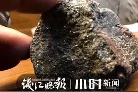 杭州父子从临安山里挖到一块神秘石头，通体金光闪闪！真是传说中的“狗头金”？图片