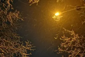 生活不易，但请竭尽全力图片