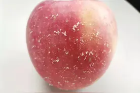 苹果打蜡会致癌？专家辟谣：食用蜡对人体无害图片