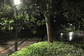 嘉兴2020年的第一场雪，今天悄悄地下了……图片