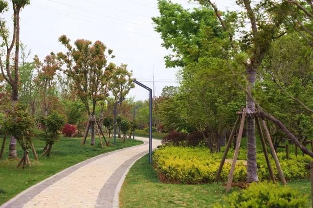 刚刚，阜阳通报了一批重点工程建设情况