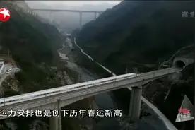 长三角春运方案出台，计划开行动车组列车950对，同比增10.8%视频封面