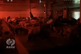 春运长途客车“黑服务区”宰客曝光，交通运输部发话了图片