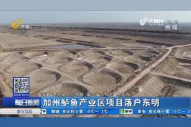 年利润达千万！加州鲈鱼产业区项目落户东明，用大棚养鱼你见过吗视频封面