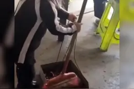“脑洞大开的萌娃”因扫栗子皮走红，网友：日常迷惑行为，你不懂图片