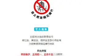 春节期间，烟花爆竹禁放有新规定图片