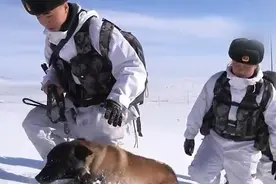 致敬！战士踏雪巡防边关 积雪没过膝盖就连军犬都行走艰难视频封面