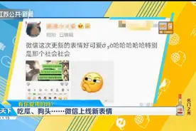 微信上线10个新表情：吃瓜、狗头、打脸……有你爱用的吗？视频封面