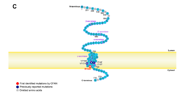 喜讯！宣武医院贾建平教授团队发现中国阿尔茨海默病家系重要遗传机制丨专家视角