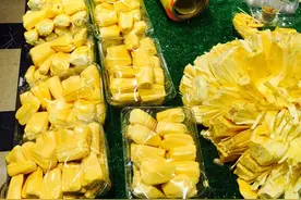 此物具有5大功效，帮助肠胃消化、清理肠胃、美容养颜、减肥瘦身图片
