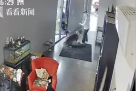 家有不速之客闯入 勇犬护主一口咬住他的屁股图片
