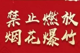 关于我市中心城区禁止燃放烟花爆竹的通知图片
