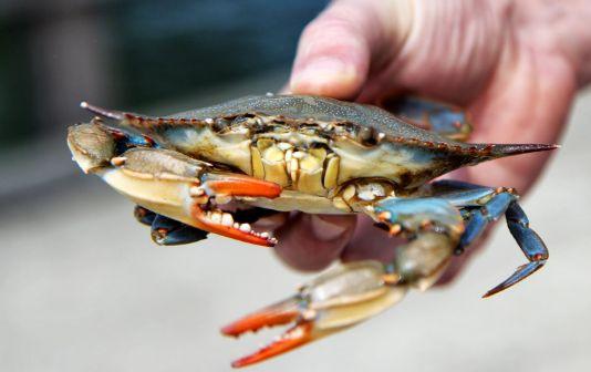 买年货小心！最新一期抽检黑名单来了，沃尔玛等超市产品在列