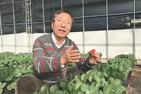 援疆干部张锐：愿做沙漠中的一滴水图片