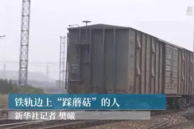 铁轨旁“踩蘑菇”的人视频封面