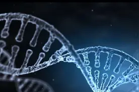 宁波男子结婚多年的“妻子”竟然是小姨子！亲子鉴定“验明正身”图片