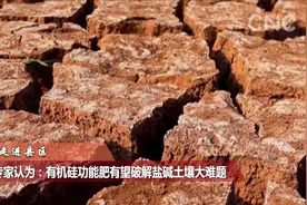 走进县区|专家认为：有机硅功能肥有望破解盐碱土壤大难题视频封面