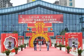 到粤北赏花！2020广东翁源兰花文化旅游节开幕图片