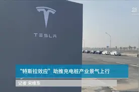 中国财富报道|“特斯拉效应”助推充电桩产业景气上行视频封面