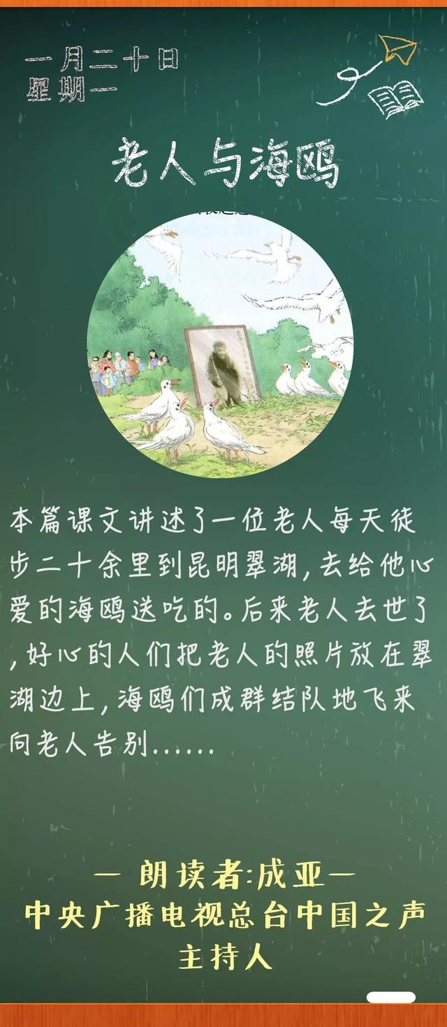 老人与海鸥课文（老人与海鸥丨那些年）