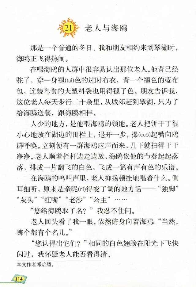 《老人与海鸥》丨那些年，我们一起读过的课文