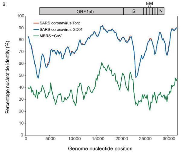 研究揭示武汉新型冠状病毒进化来源和传染人分子作用通路